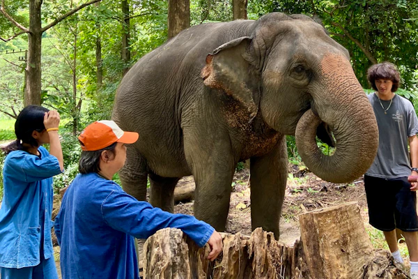 Field LAB, a Rustic Pathways school program in Thailand.