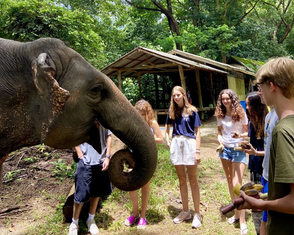 High school volunteer abroad students working at an elephant sanctuary in Thailand with Rustic Pathways.