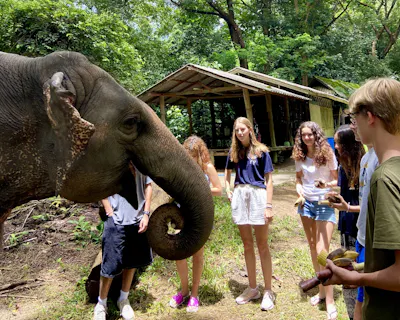 An elephant reaching its trunk toward a group of students holding corn and bananas, an open-sided sanctuary shelter in the trees behind them