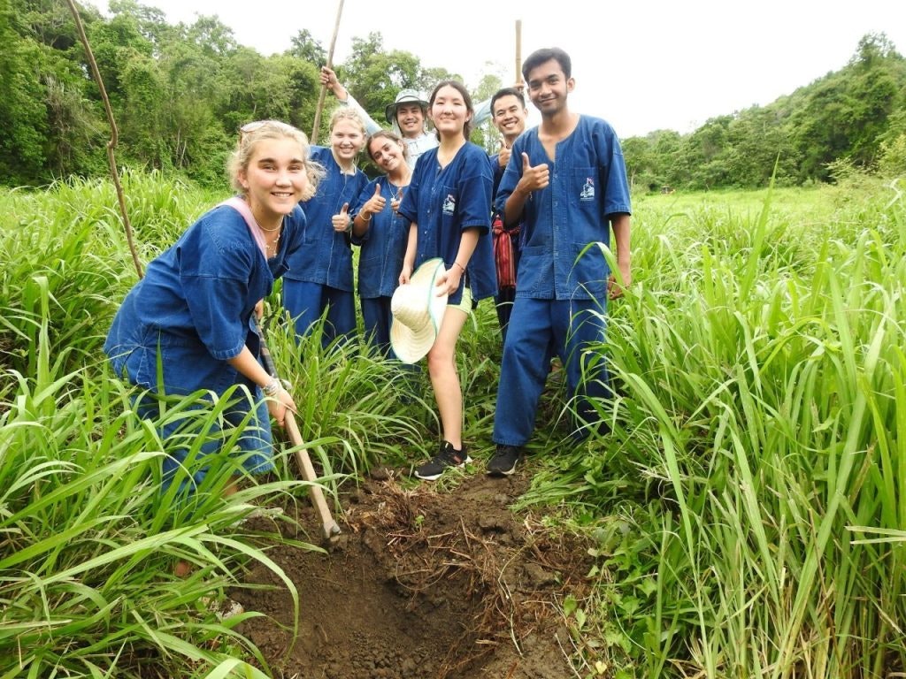 A group of young people dressed in blue clothing are outdoors in a lush, green field, smiling and giving thumbs up while one of them is digging in the soil.