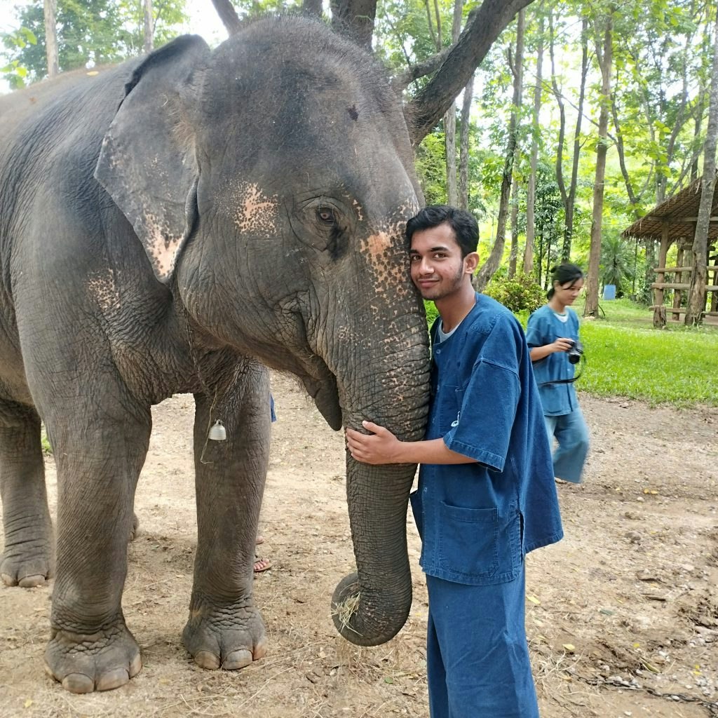 Rustic Pathways student learning about Thai elephants