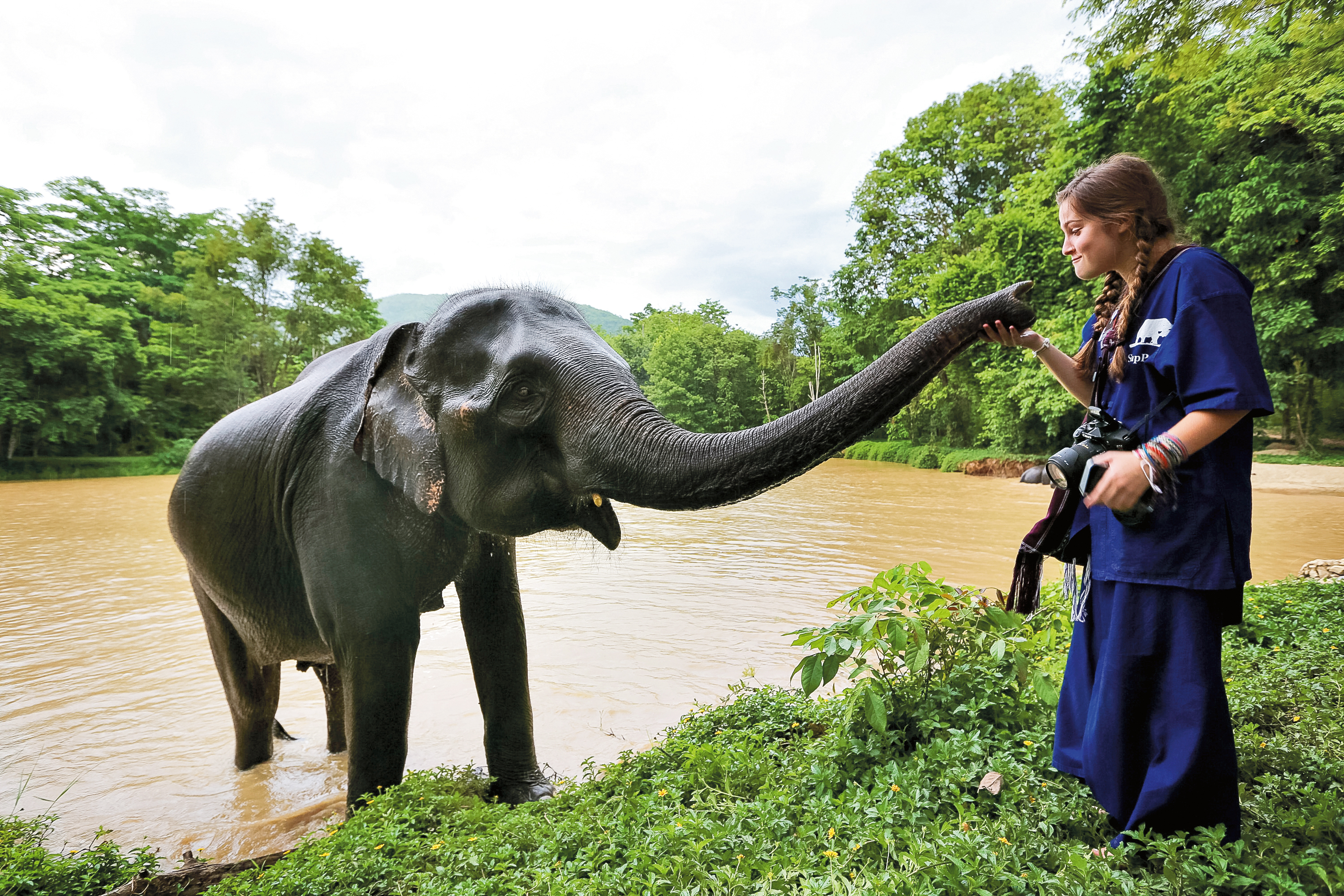 elephant conservation in Thailand