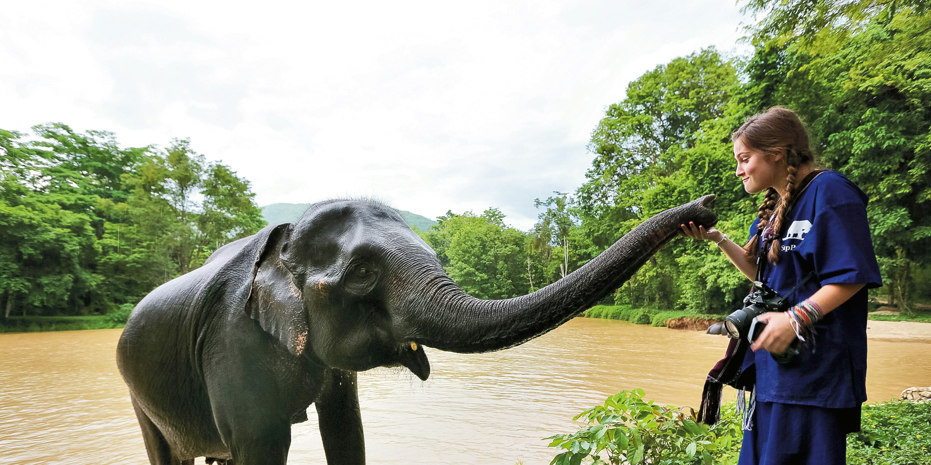 Thailand: Elephant Conservation Project