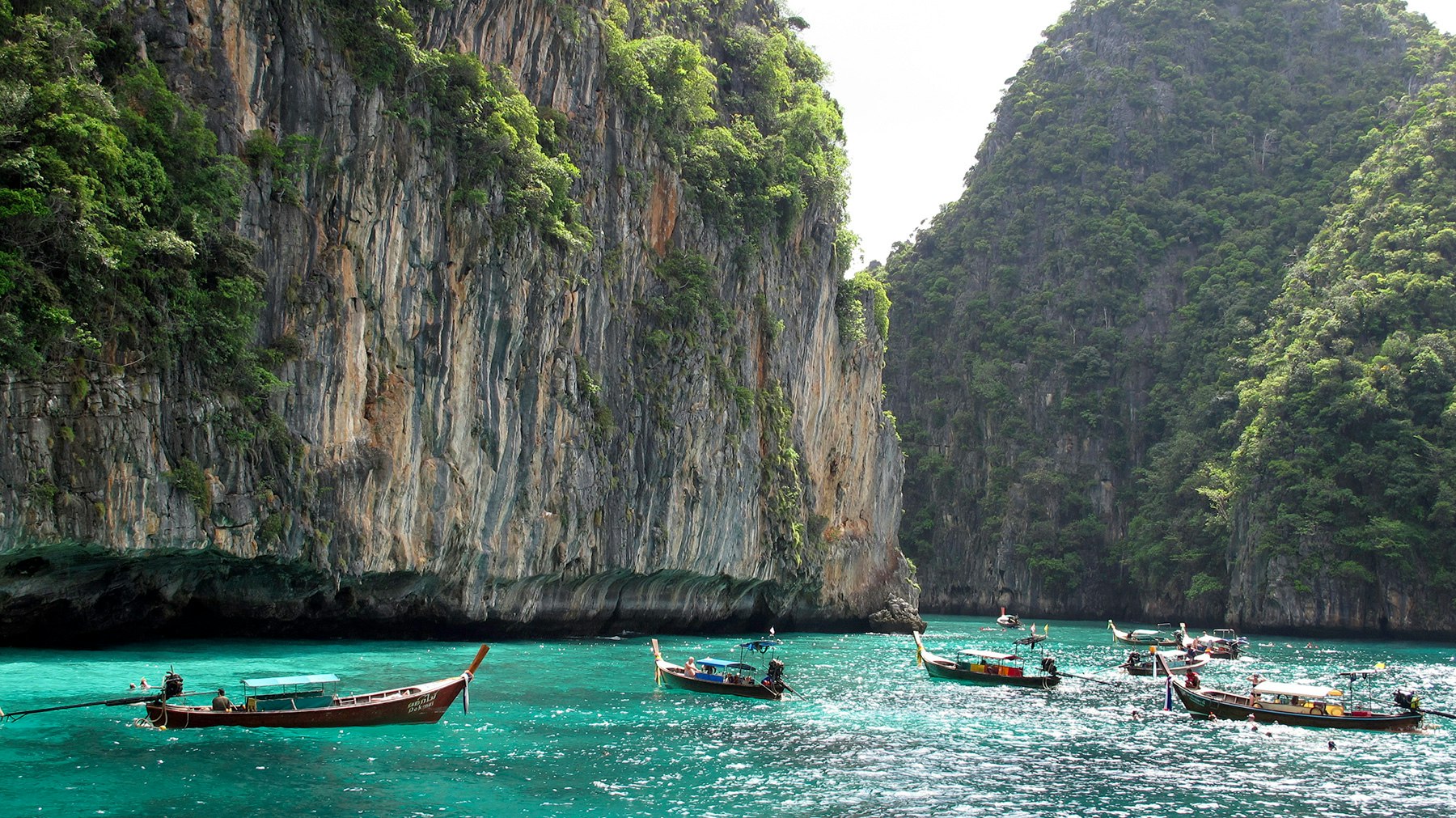 Thailand: Khao Sok, Jungle Wonders and Water Riches