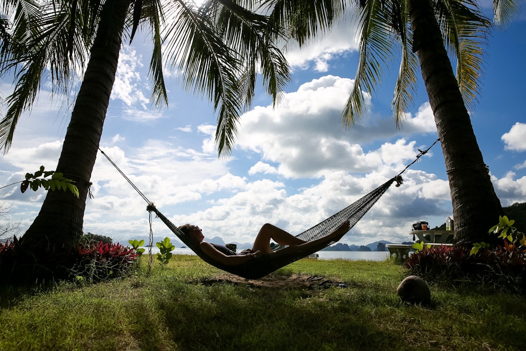 A student enjoying peace between palm trees.