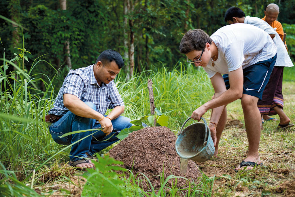 Students participating in environmental conservation volunteering by planting trees to support reforestation and ecosystem restoration.