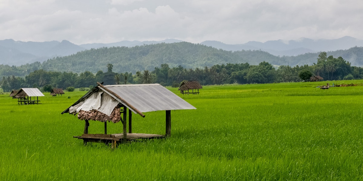 Elephants And Amazing Thailand Rustic Pathways