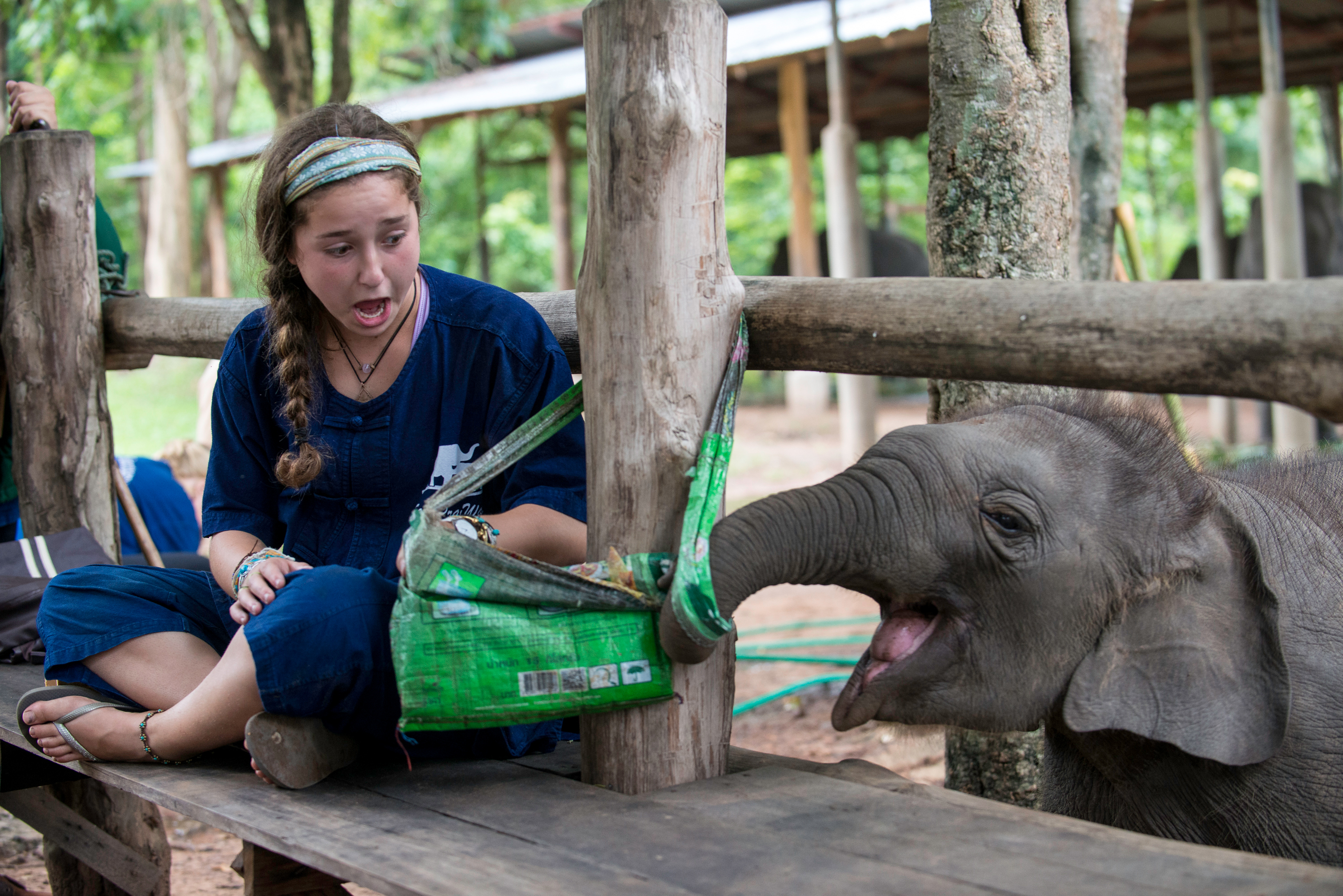 Girl helping a baby elephant during service project.