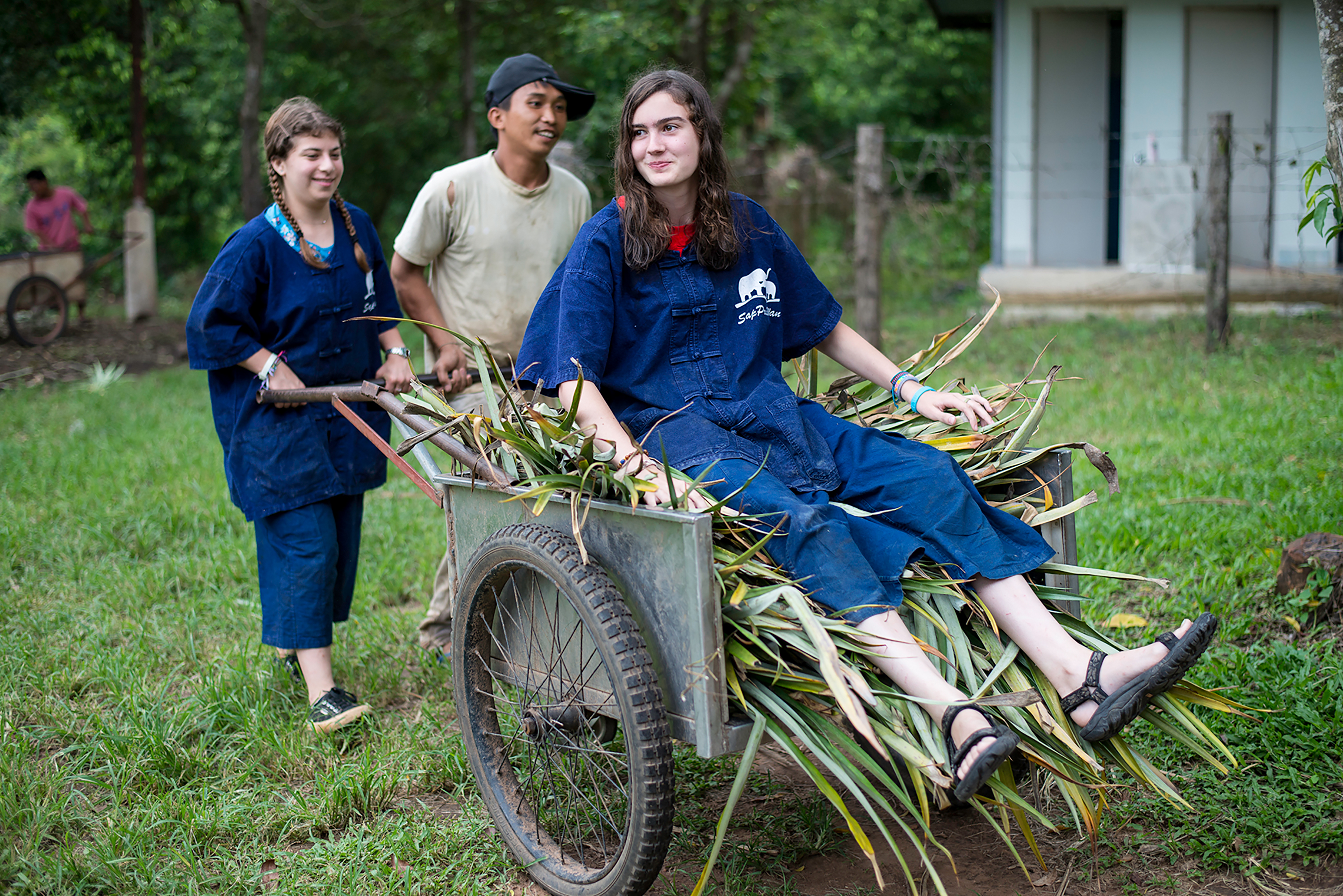 Student sitting on top of a wheel barrow which also has leaves, being carried by two other students during a service project in Thailand.