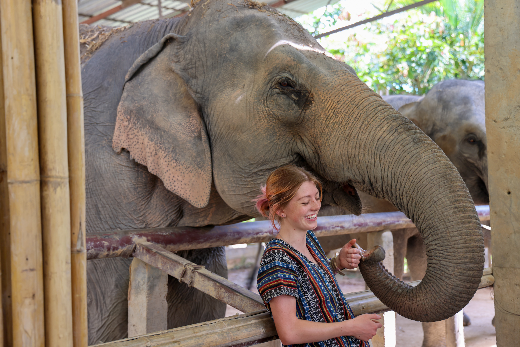Student standing in front of elephant in Thailand.