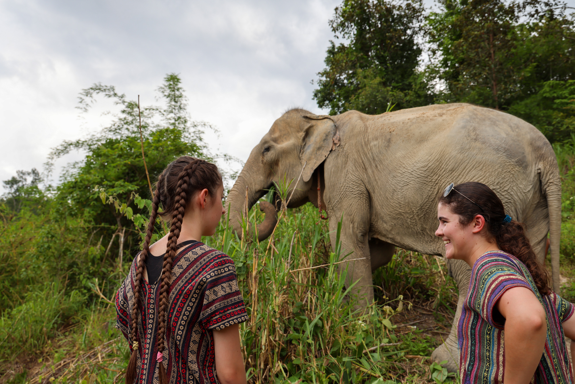 Students gathered around elephant during service project in Thailand.