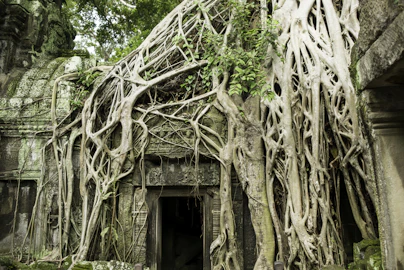 Cambodia