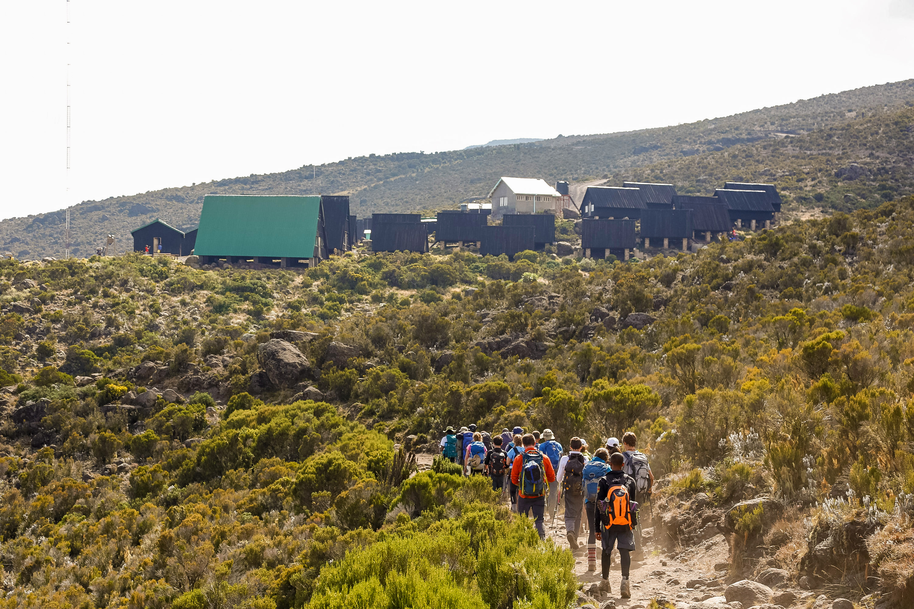 A school trip hikes a dusty trail toward camp buildings on Kilimanjaro's lower slopes