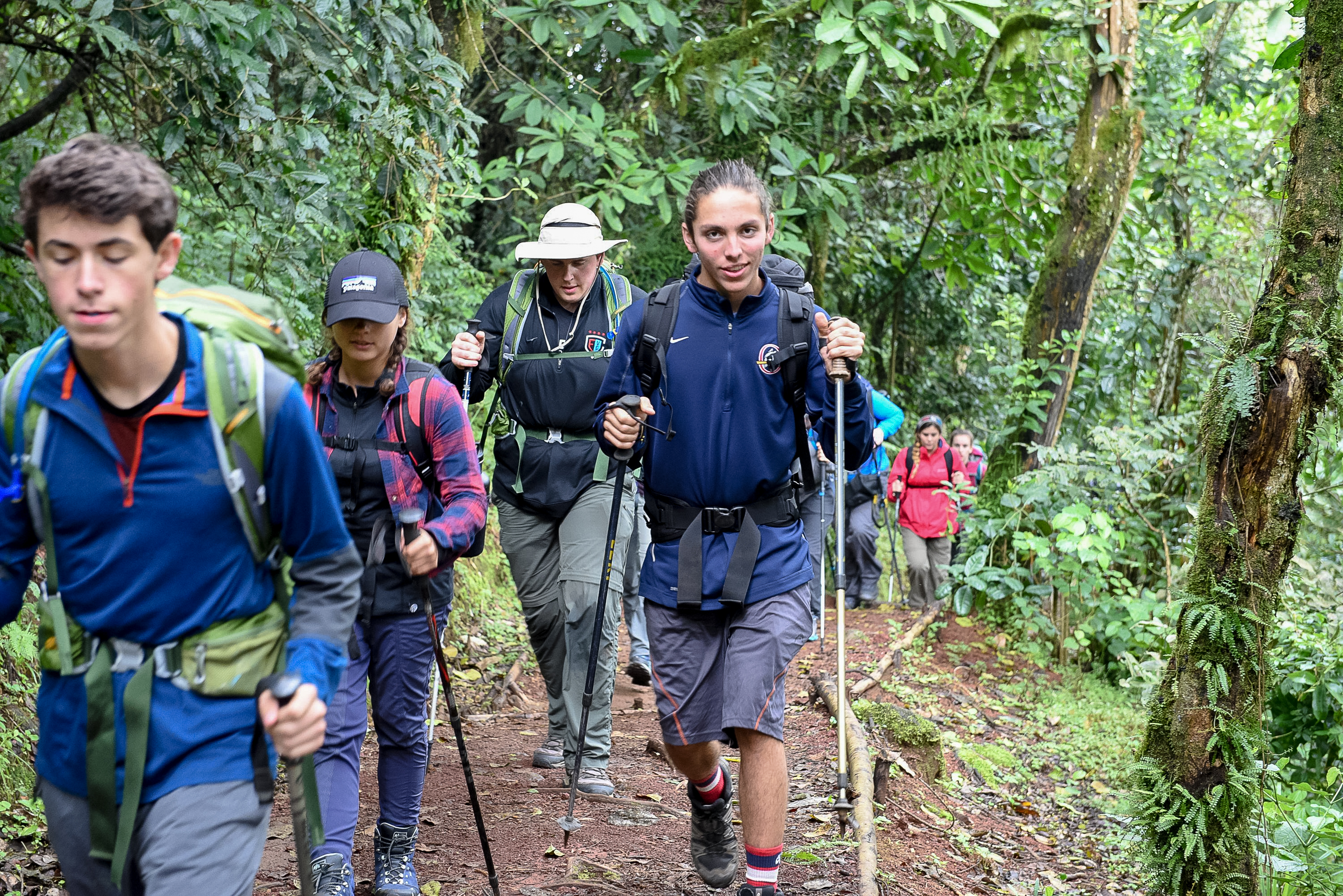Students hike a forested trail with trekking poles and backpacks on the Kilimanjaro route