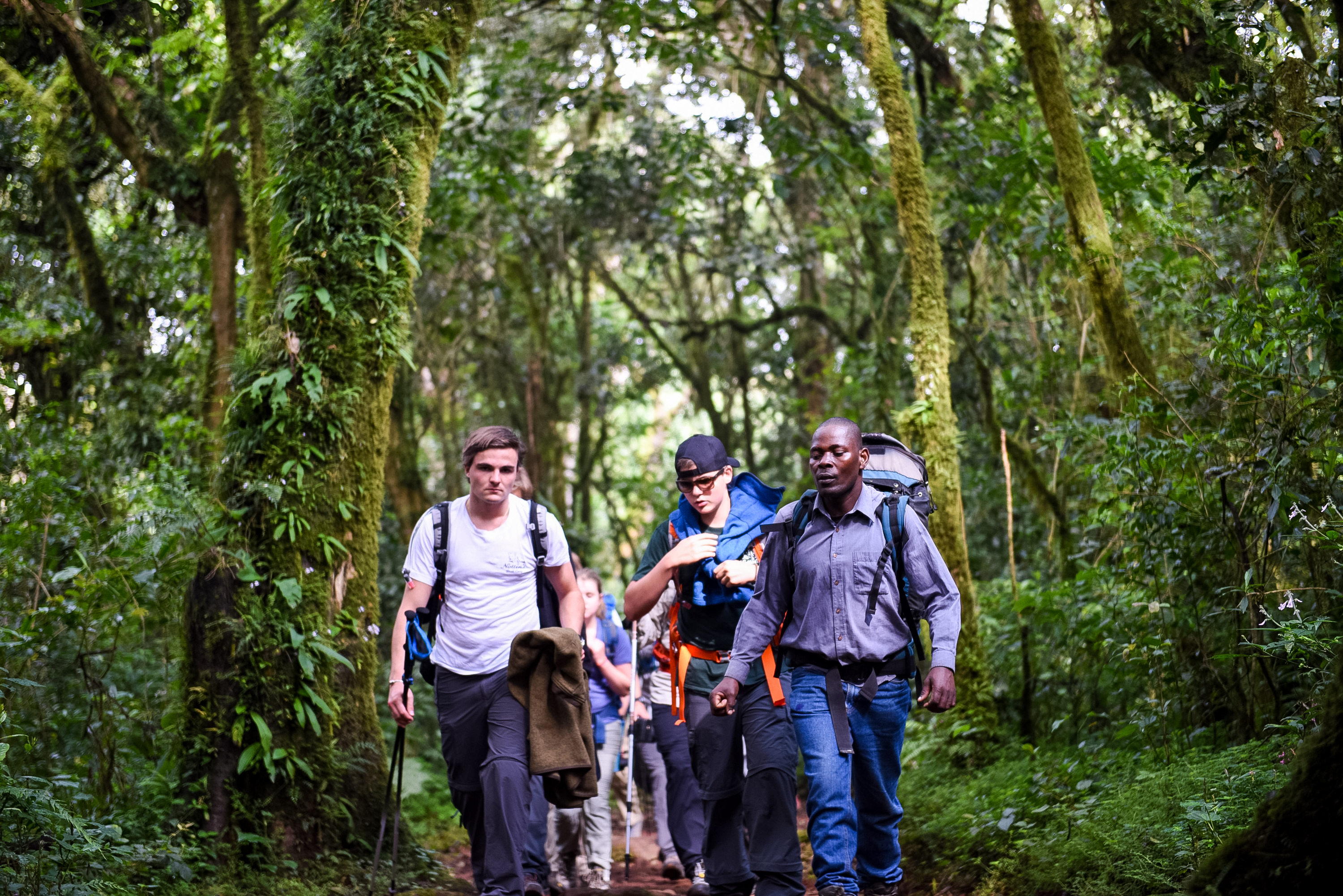 Students and a guide hike a forested trail with backpacking gear
