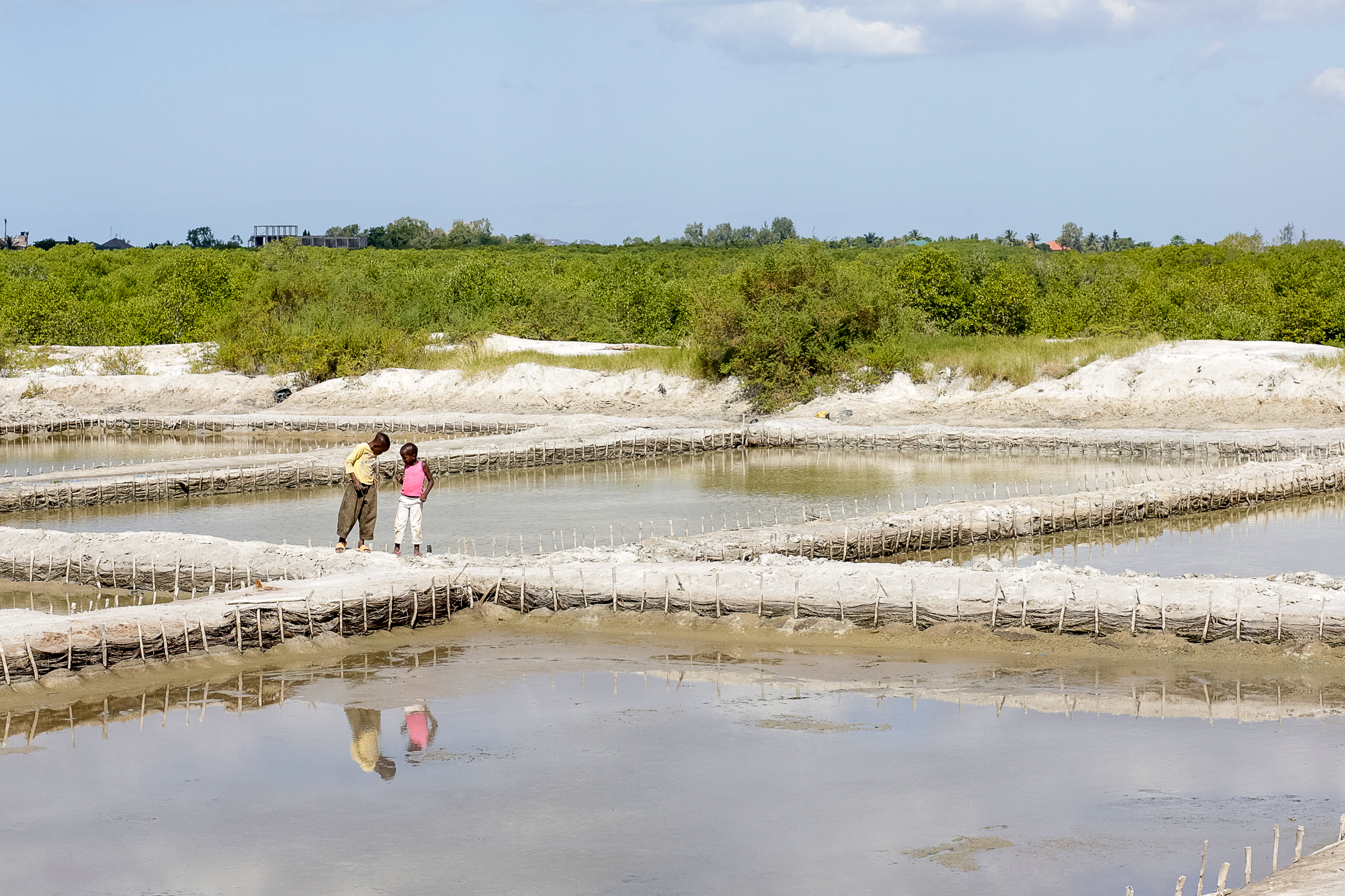 Students walk along a narrow path through shallow salt pans