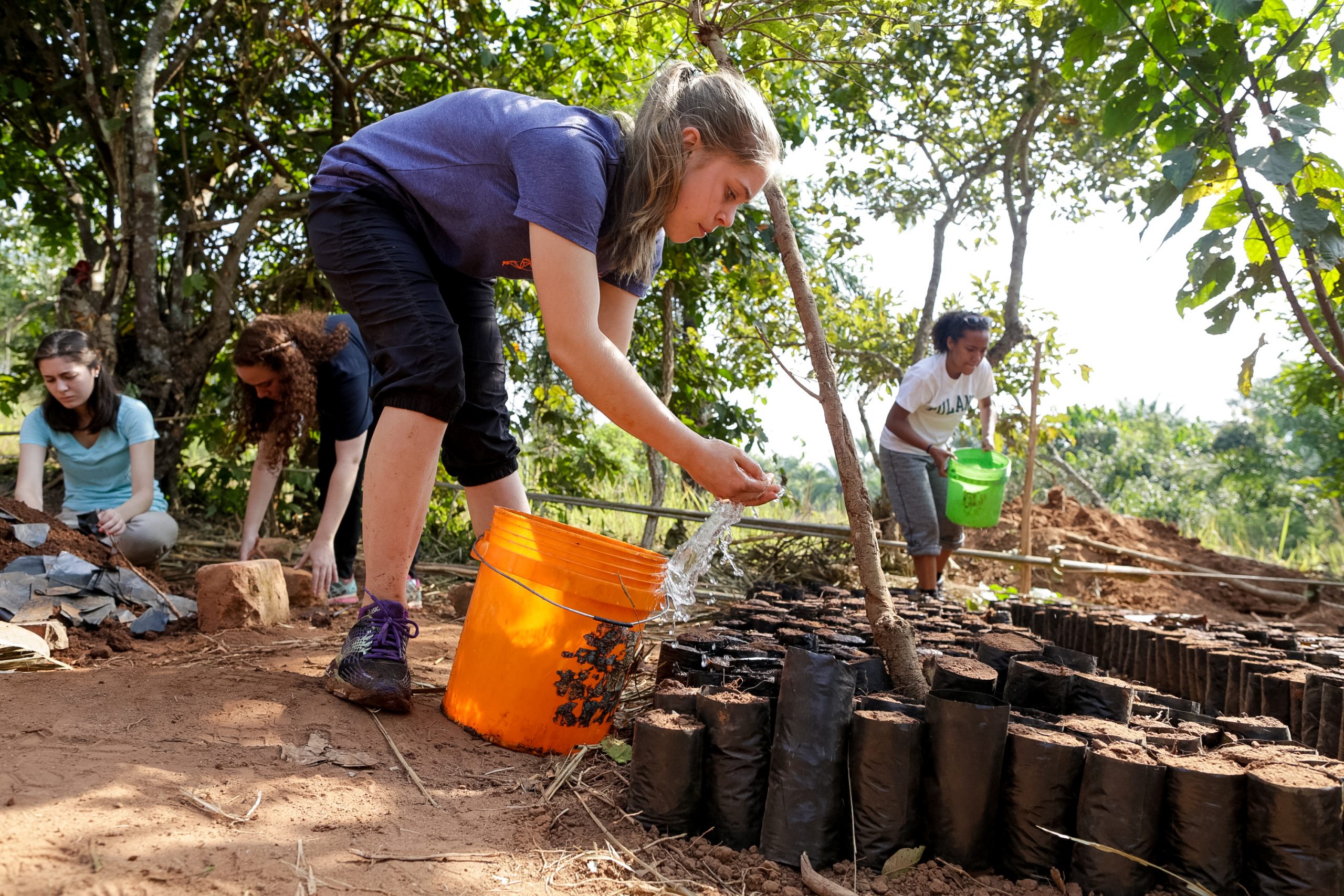 A student pours water from an orange bucket over rows of tree seedlings in planting bags at a nursery.