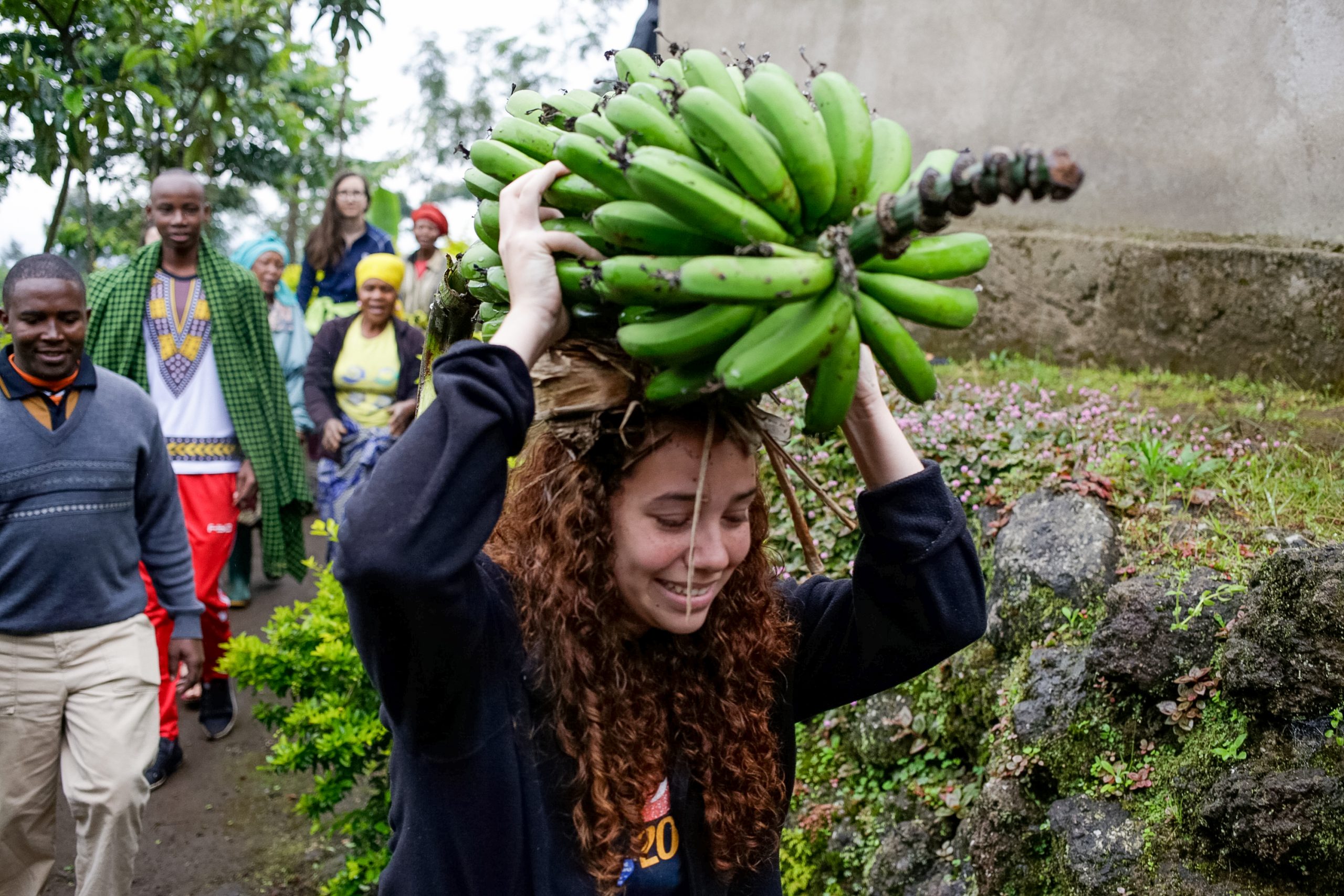 A person carrying a bunch of green bananas on their head
