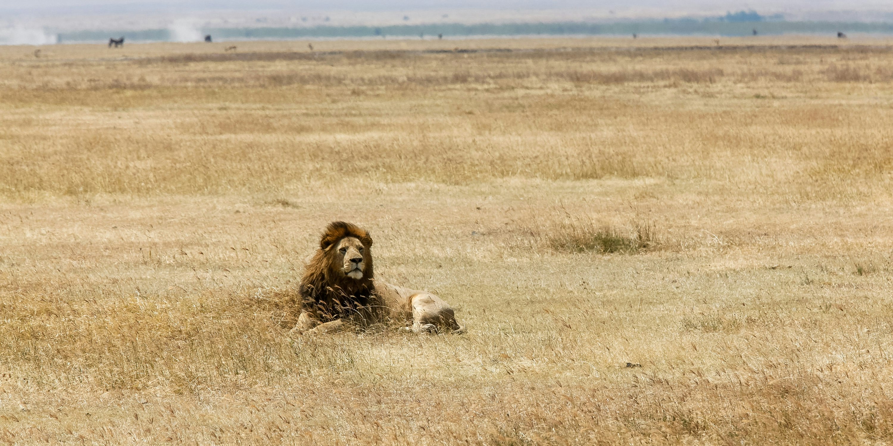 A to Z: Everything You Need to Know About Traveling to Tanzania
