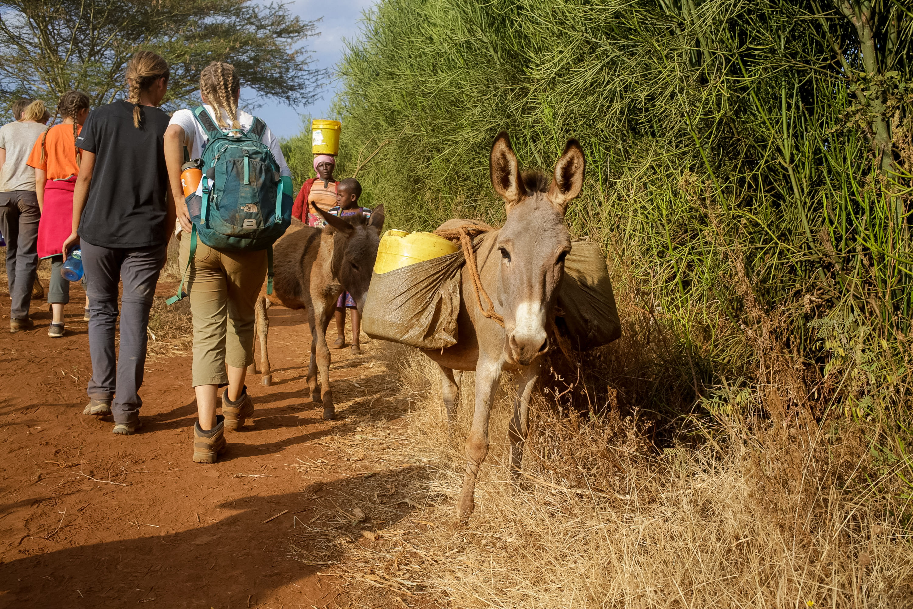Students walk a dirt path alongside pack donkeys carrying supplies