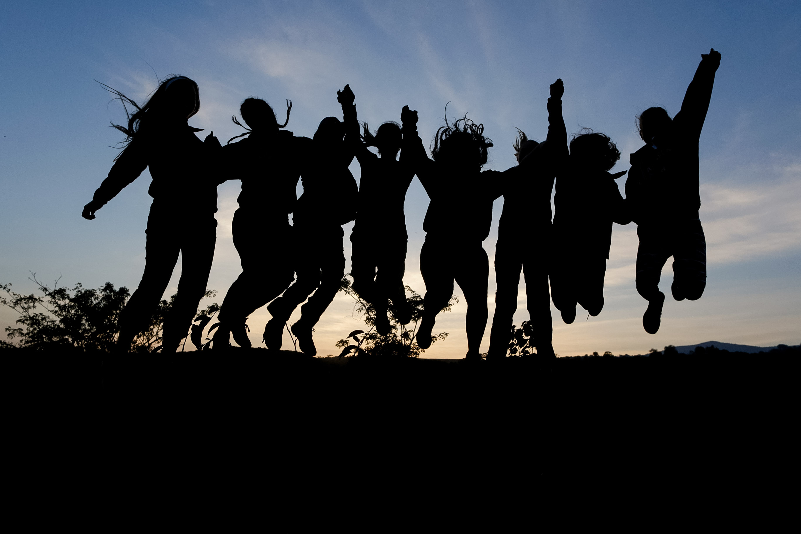 Students silhouetted against a dusky sky, jumping with arms raised