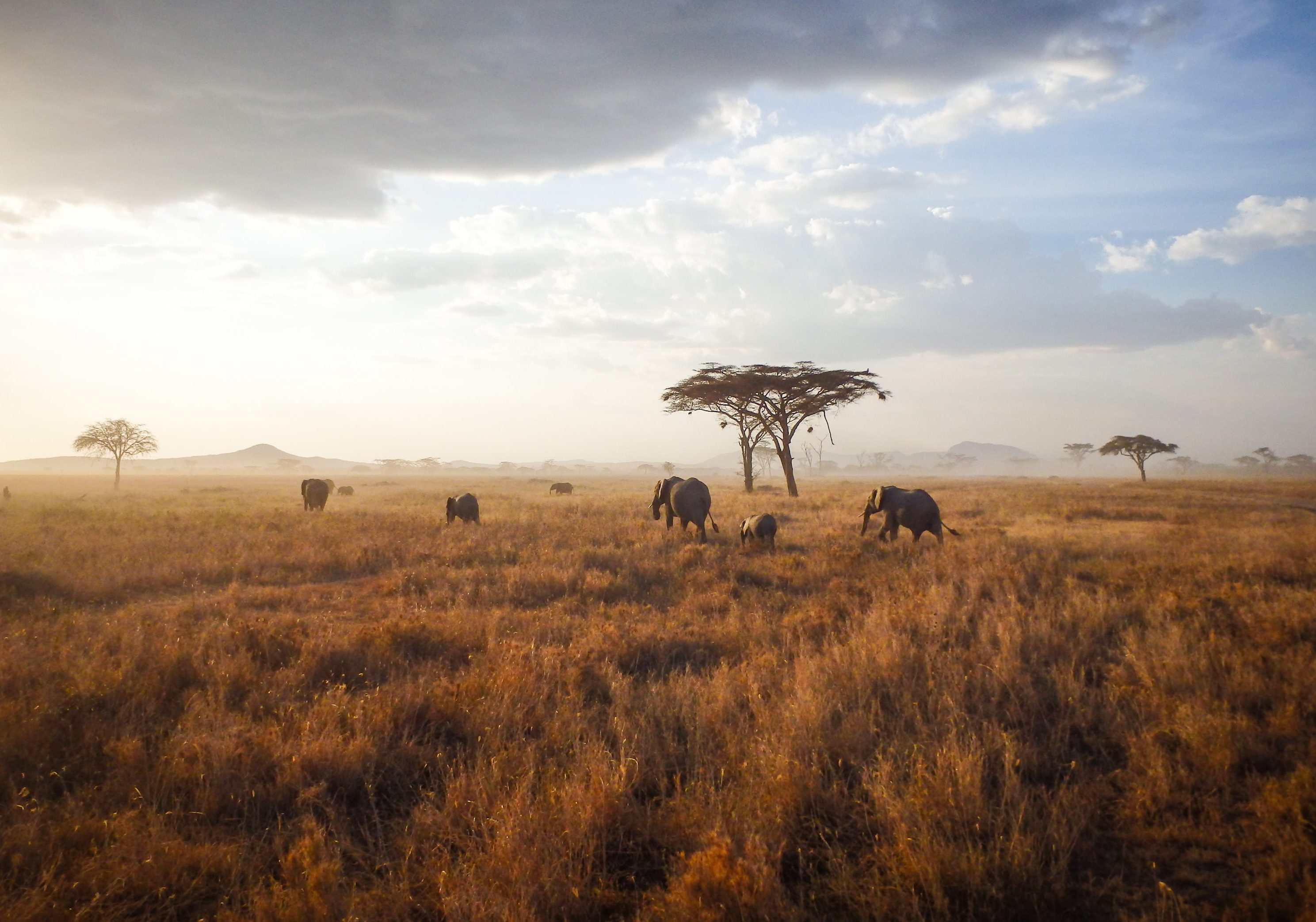 Teen travel programs in Tanzania