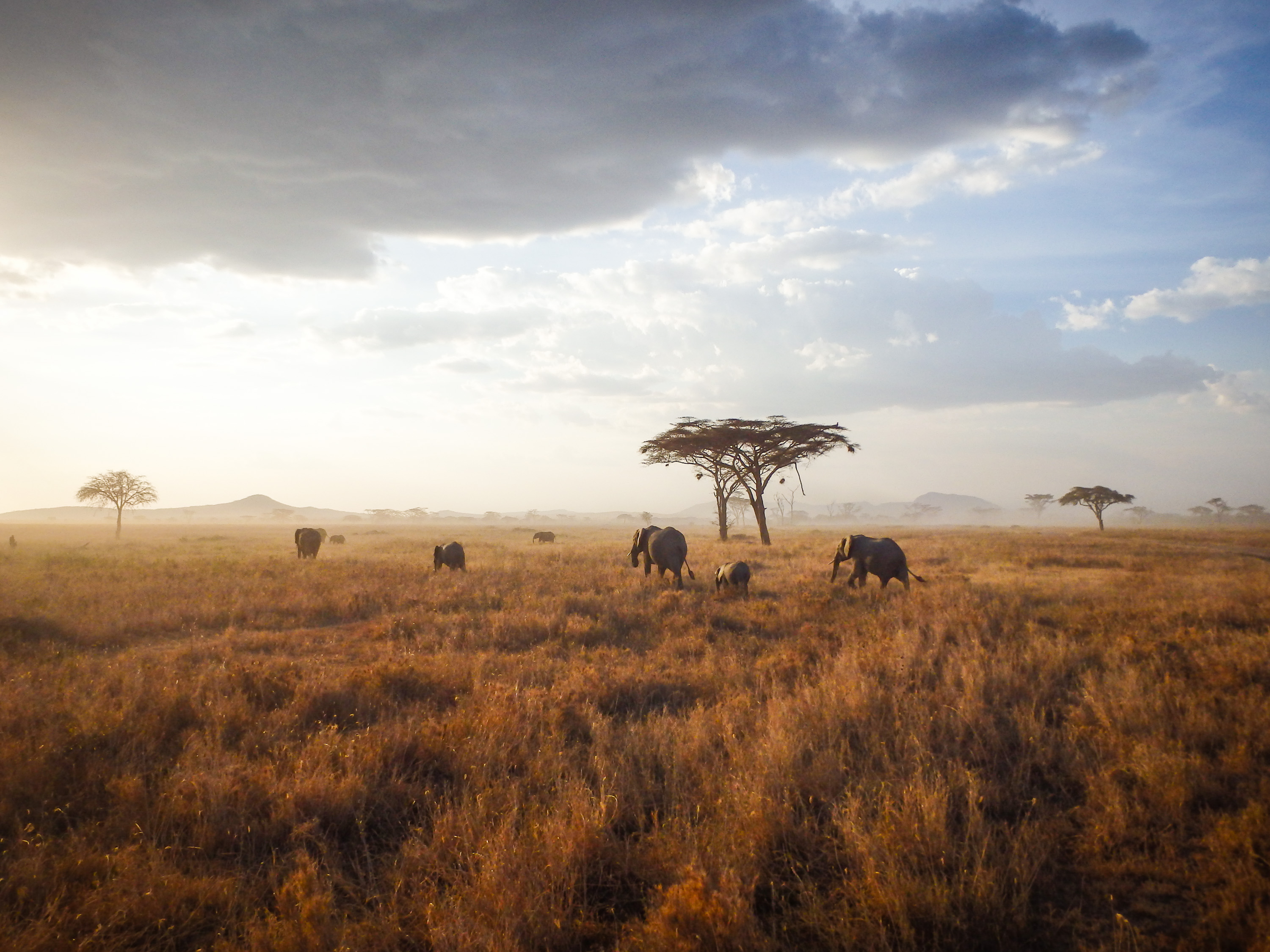 Serengeti plains in Tanzania