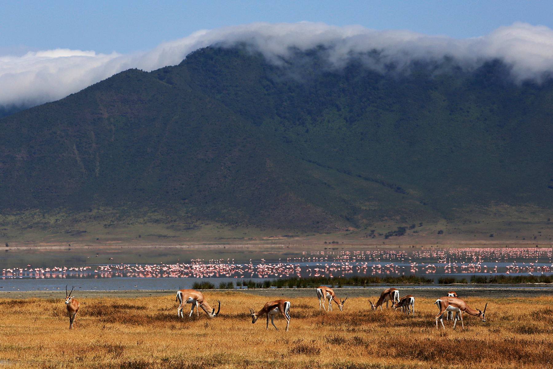 Teens photograph gazelles grazing in a grassy plain with flamingos on a lake and mountains beyond