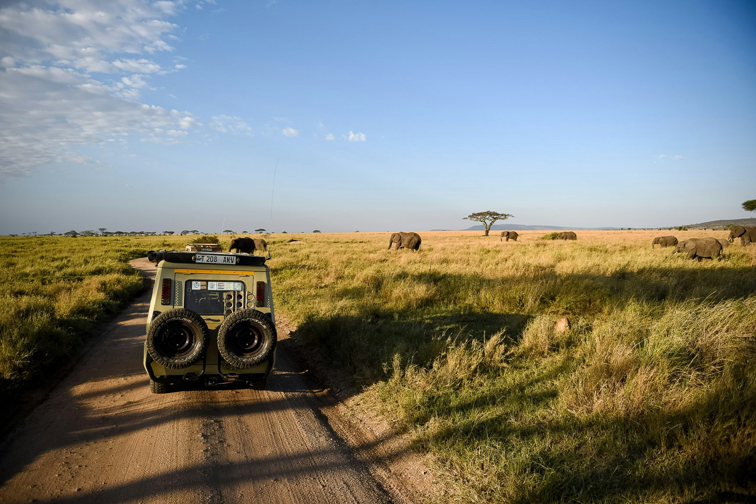 South Africa: History & Safari Adventure