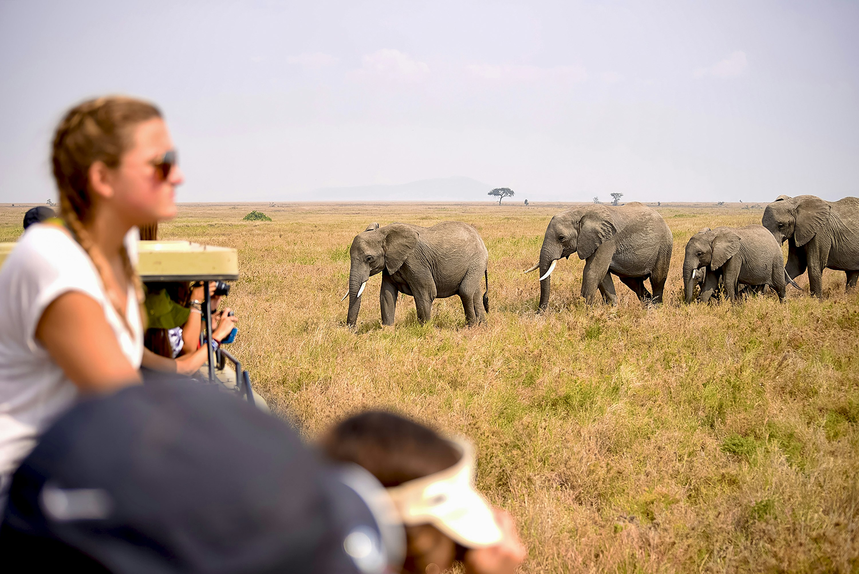 Extraordinary Summer Camp Sights in the Americas and Africa