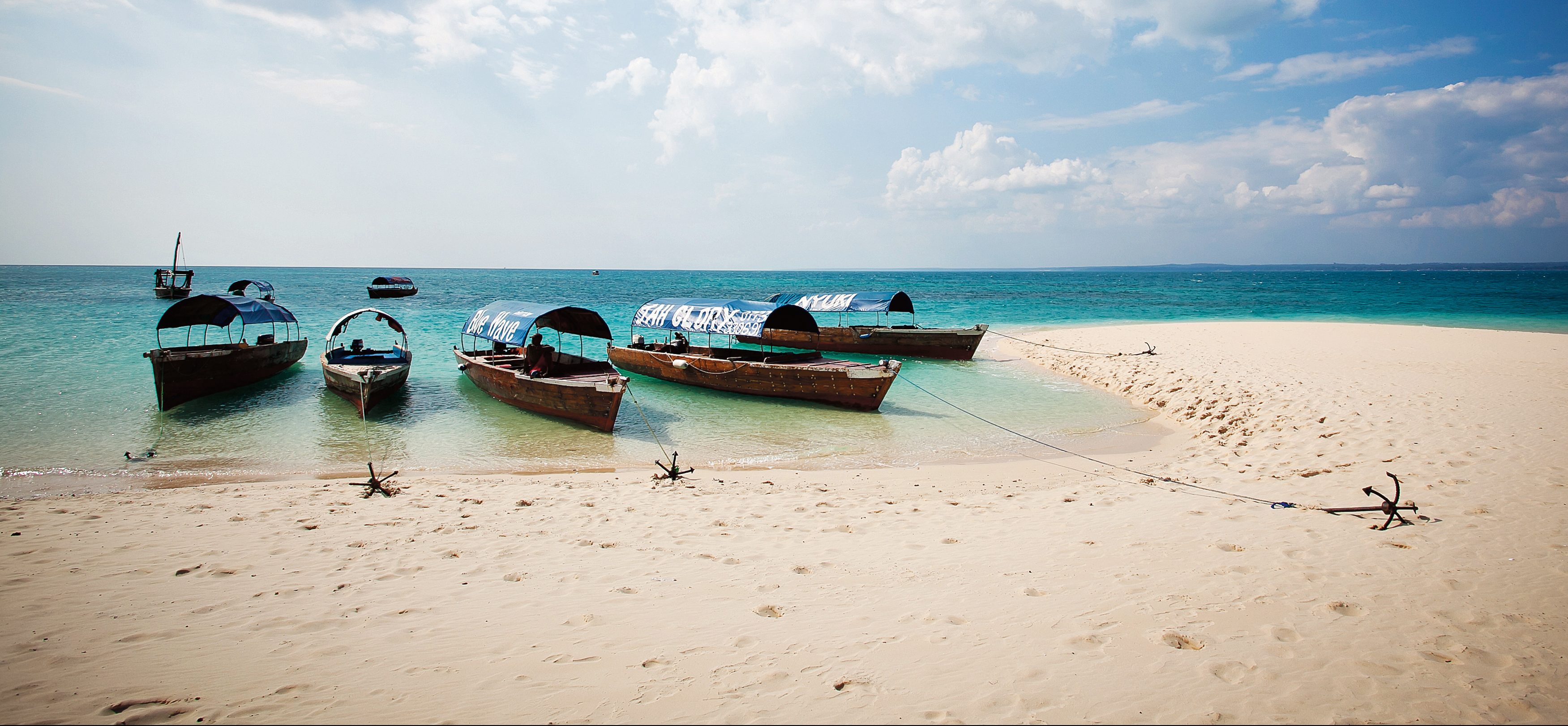 Serengeti to Zanzibar