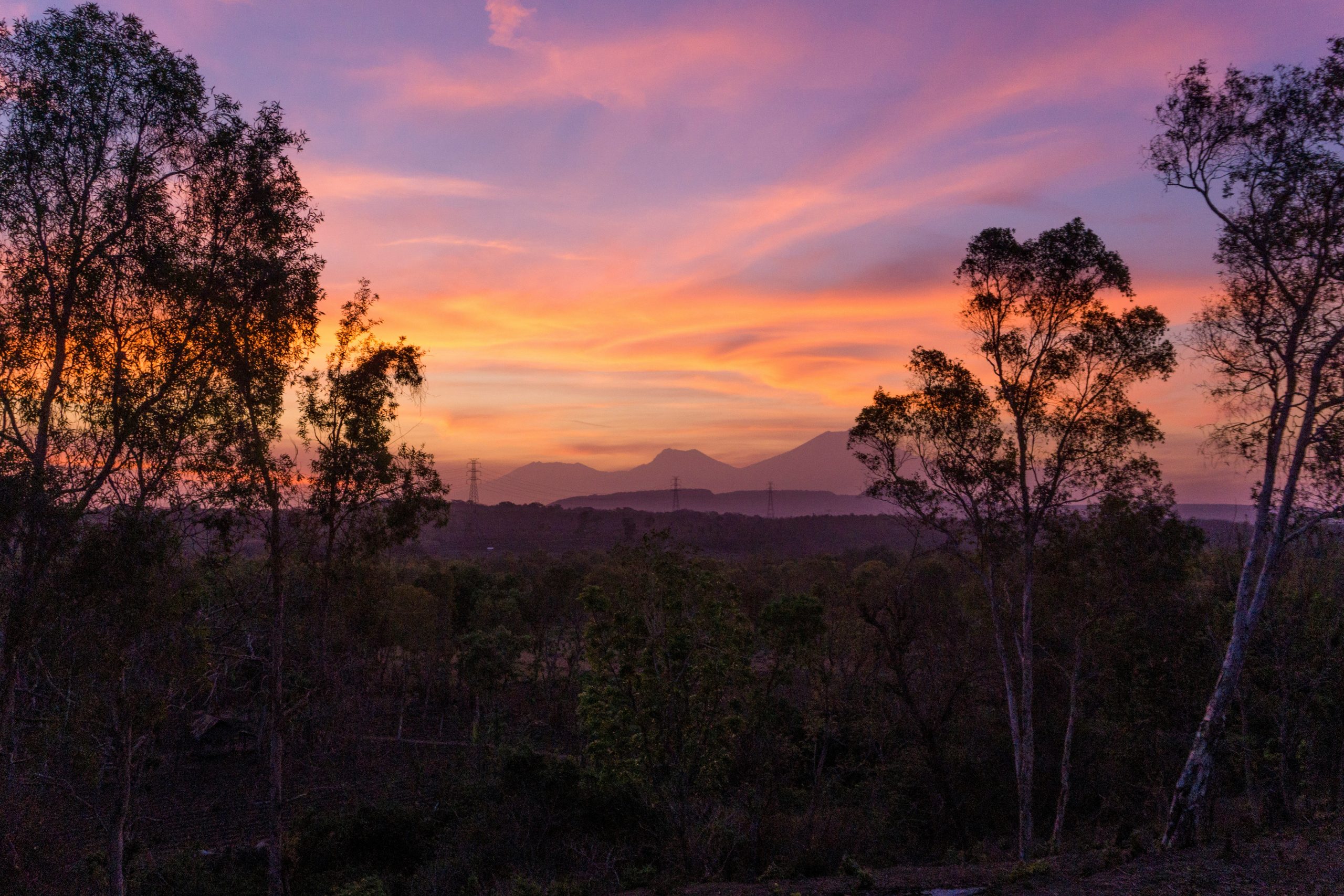 A breathtaking sunset over Taman Nasional Bali Barat with silhouetted trees and mountains in the background.