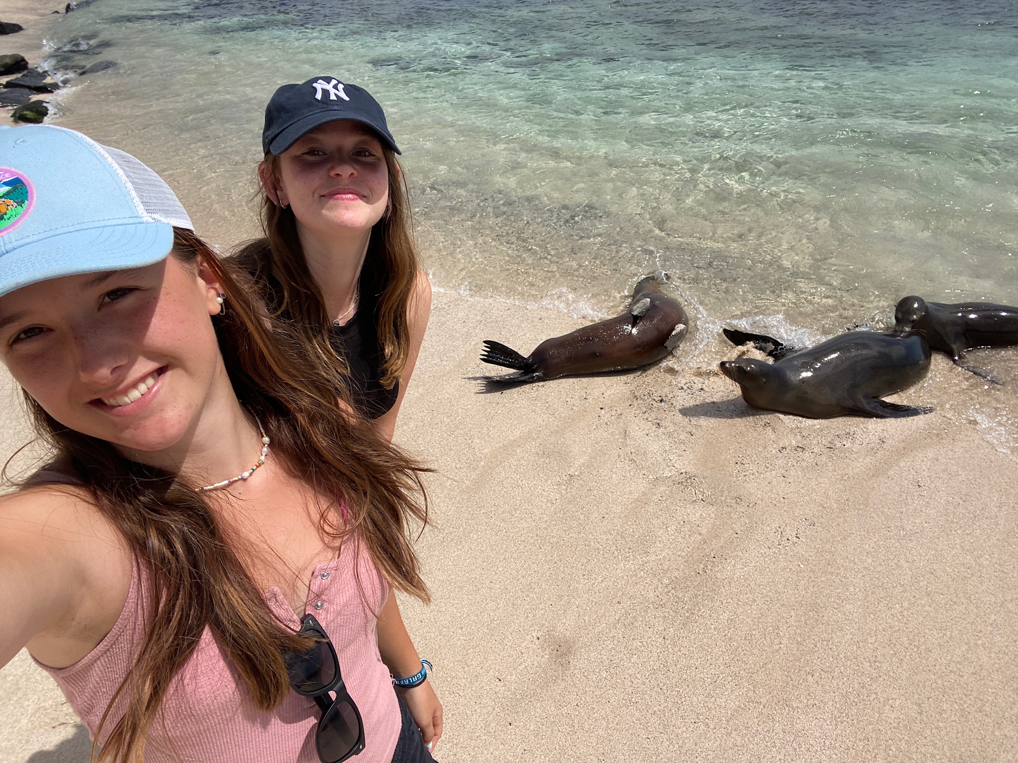 Students take a selfie on a beach as sea lions rest nearby