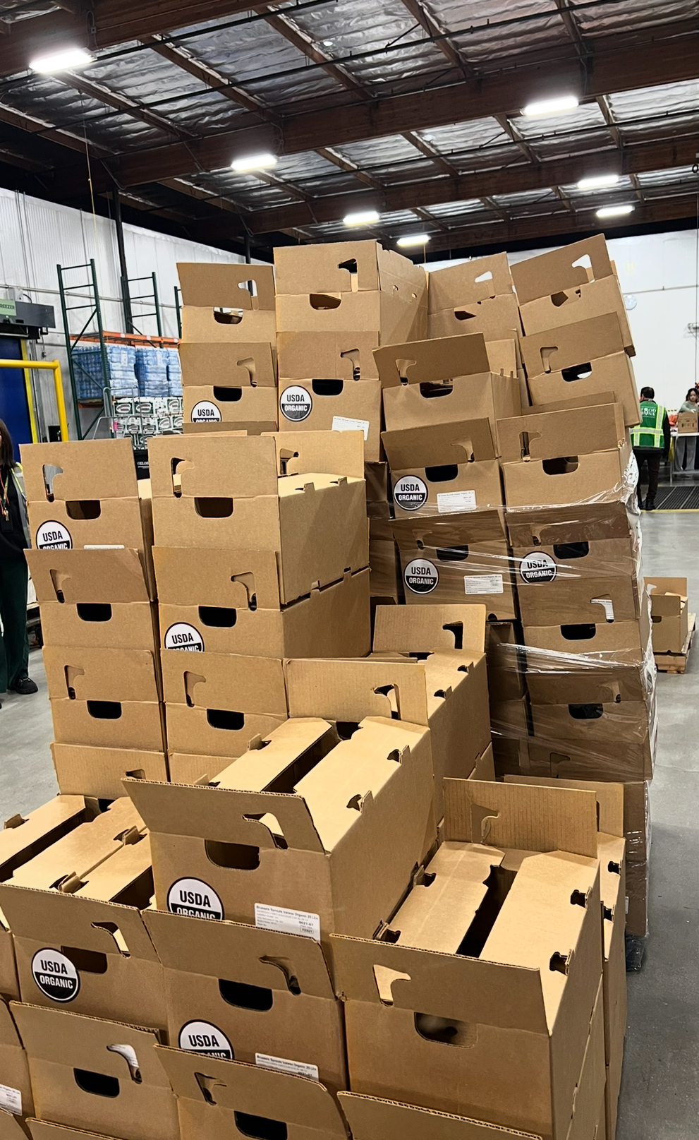 Tess Guralnick - Things You Throw Away Could Feed A Family - Image 2