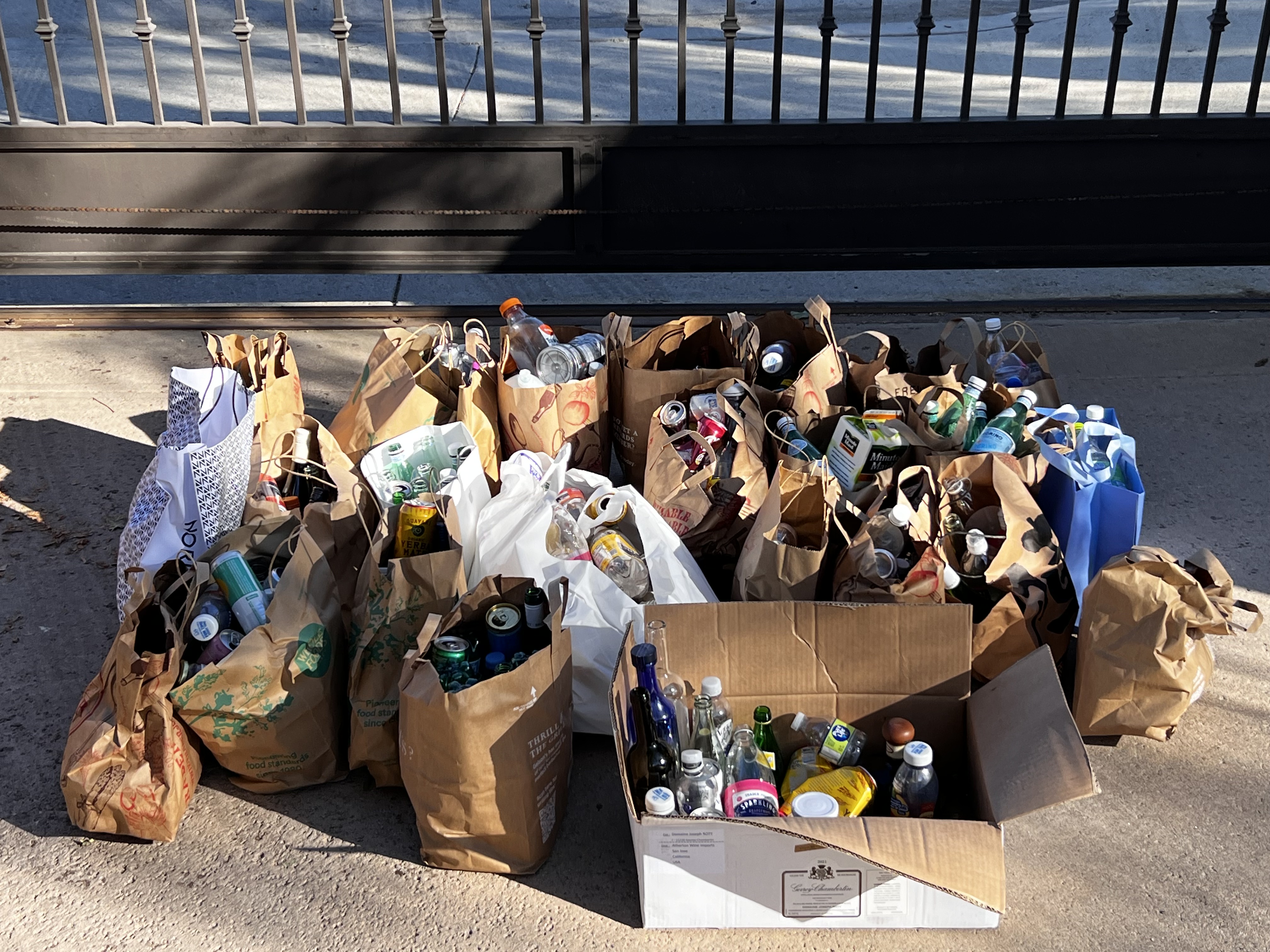 Tess Guralnick - Helping the Earth & Helping Others: A Community-Based Recycling Initiative - Image 2