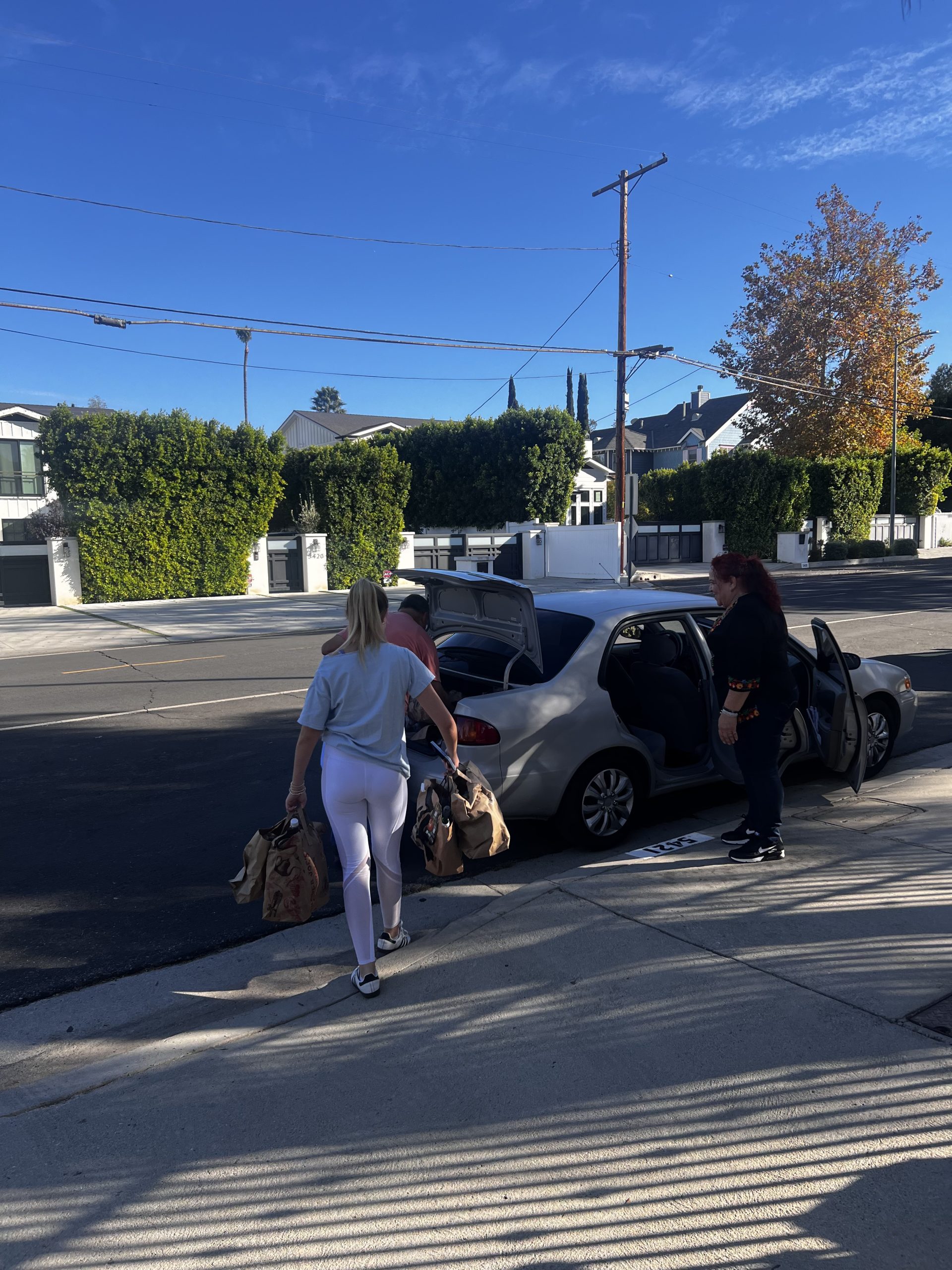 Tess Guralnick - Helping the Earth & Helping Others: A Community-Based Recycling Initiative - Image 3