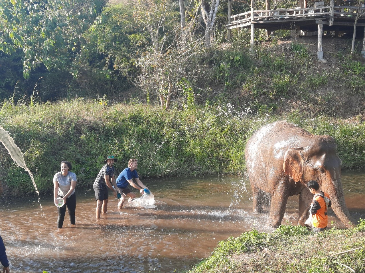Group of teens bathing an elephant in a shallow river surrounded by greenery in Thailand.