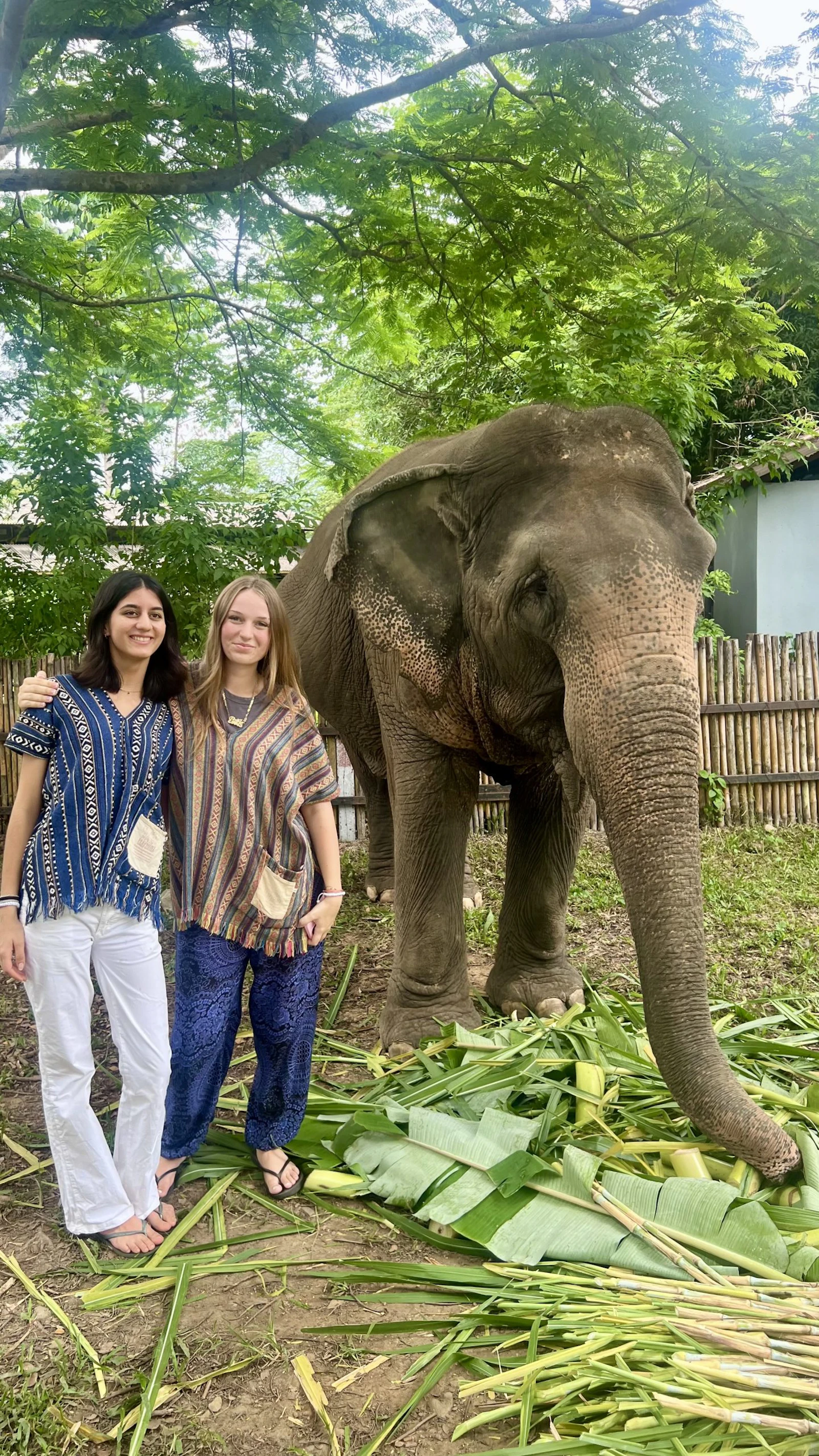 Two teen travelers in woven tops pose beside an elephant standing over a pile of cut sugarcane and banana leaves.