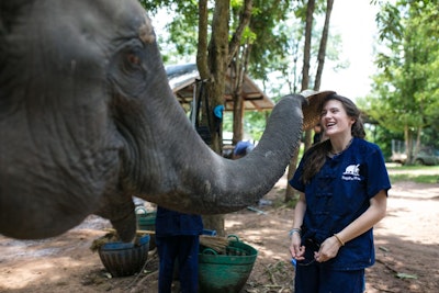 Student traveler interacting with rescued elephant during an ethical elephant encounter on a summer teen tour to Thailand