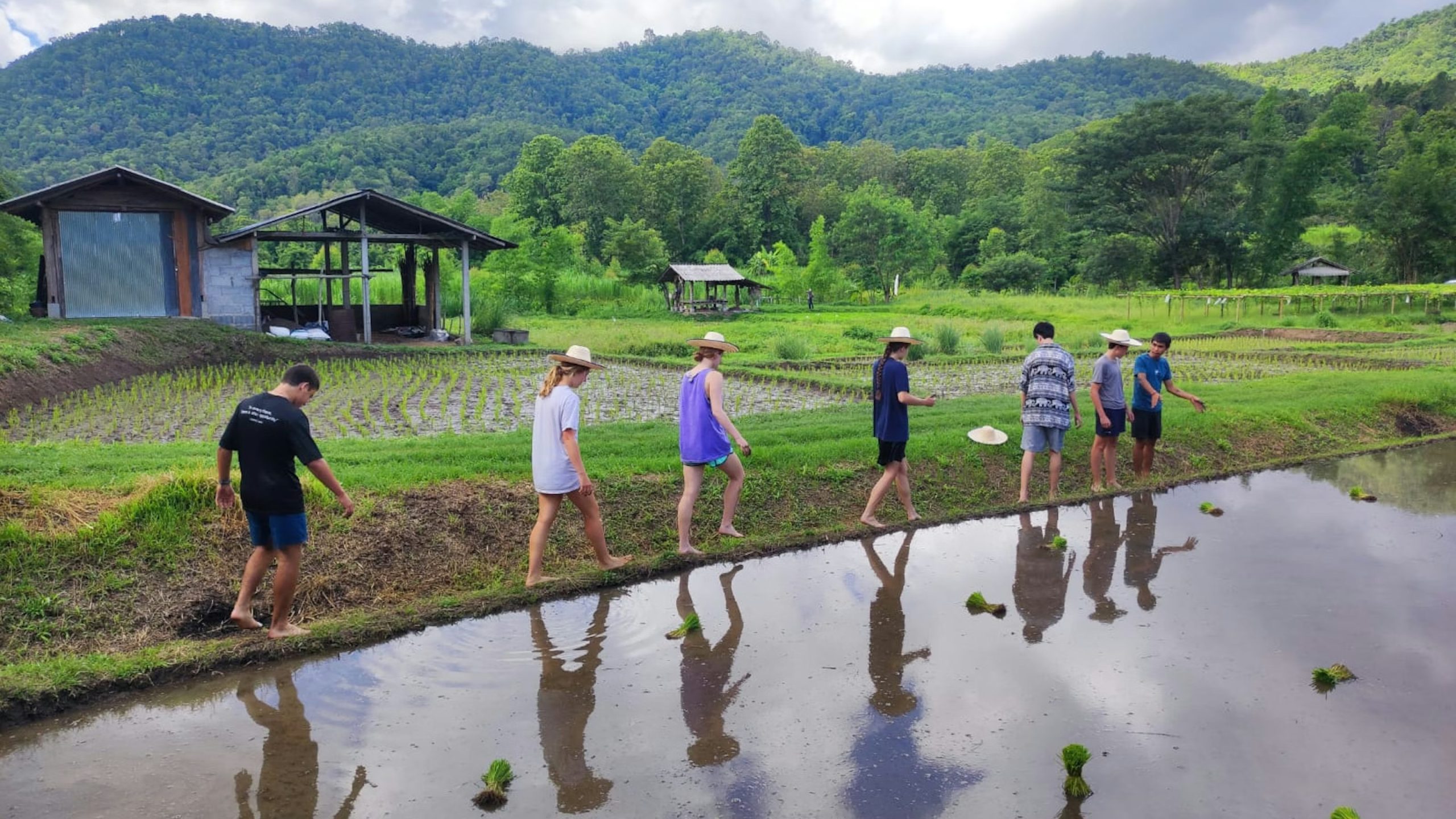Students in sun hats walk barefoot along the edge of a flooded rice paddy below forested hills in Thailand.