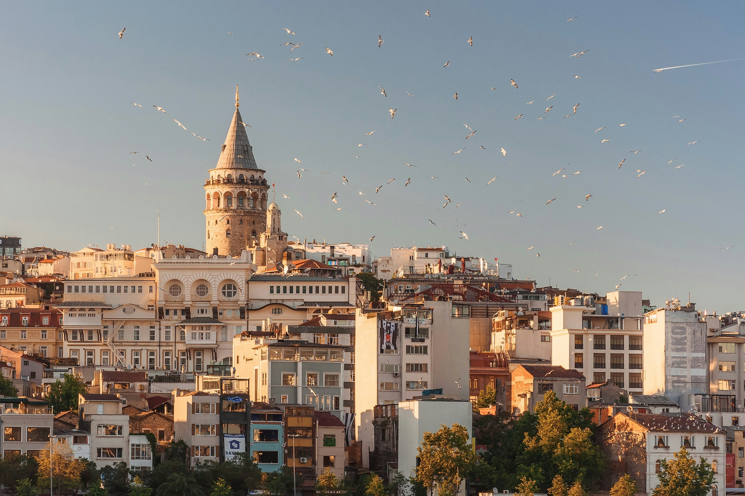 Galata Tower rising above the hillside rooftops of Istanbul, with seagulls circling in the evening light.