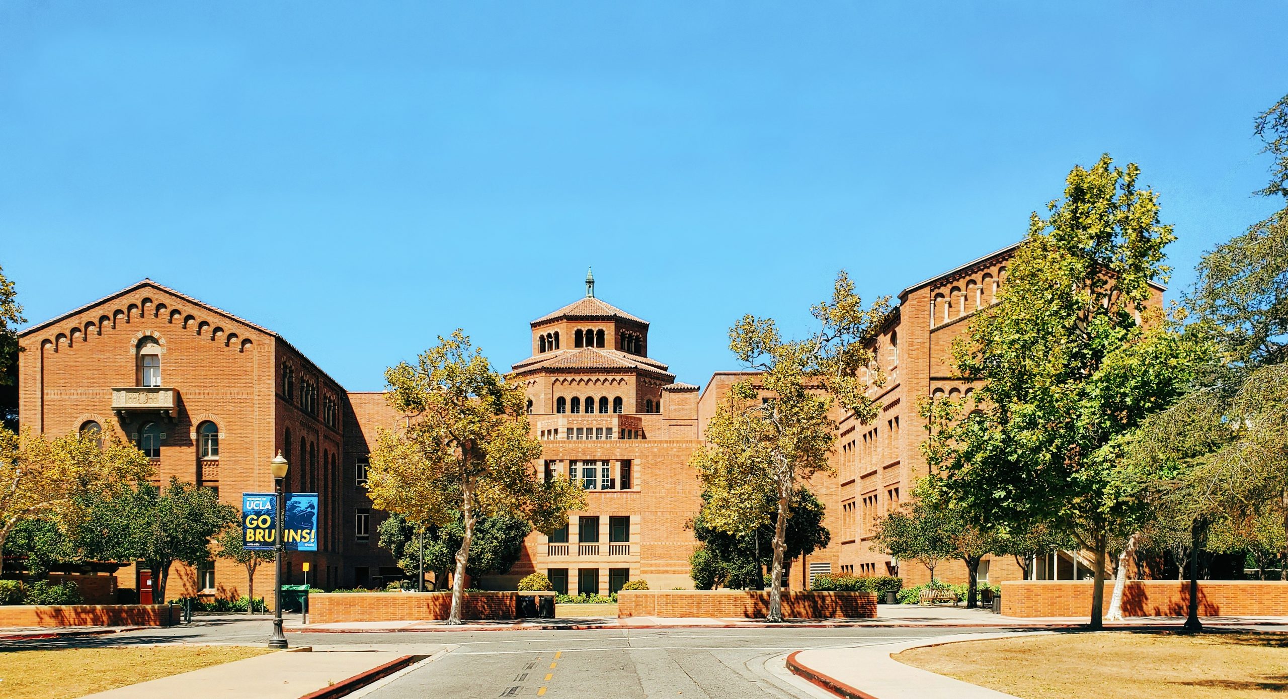 Students walk tree-lined walkways as brick campus buildings and a tower rise behind them under a clear sky