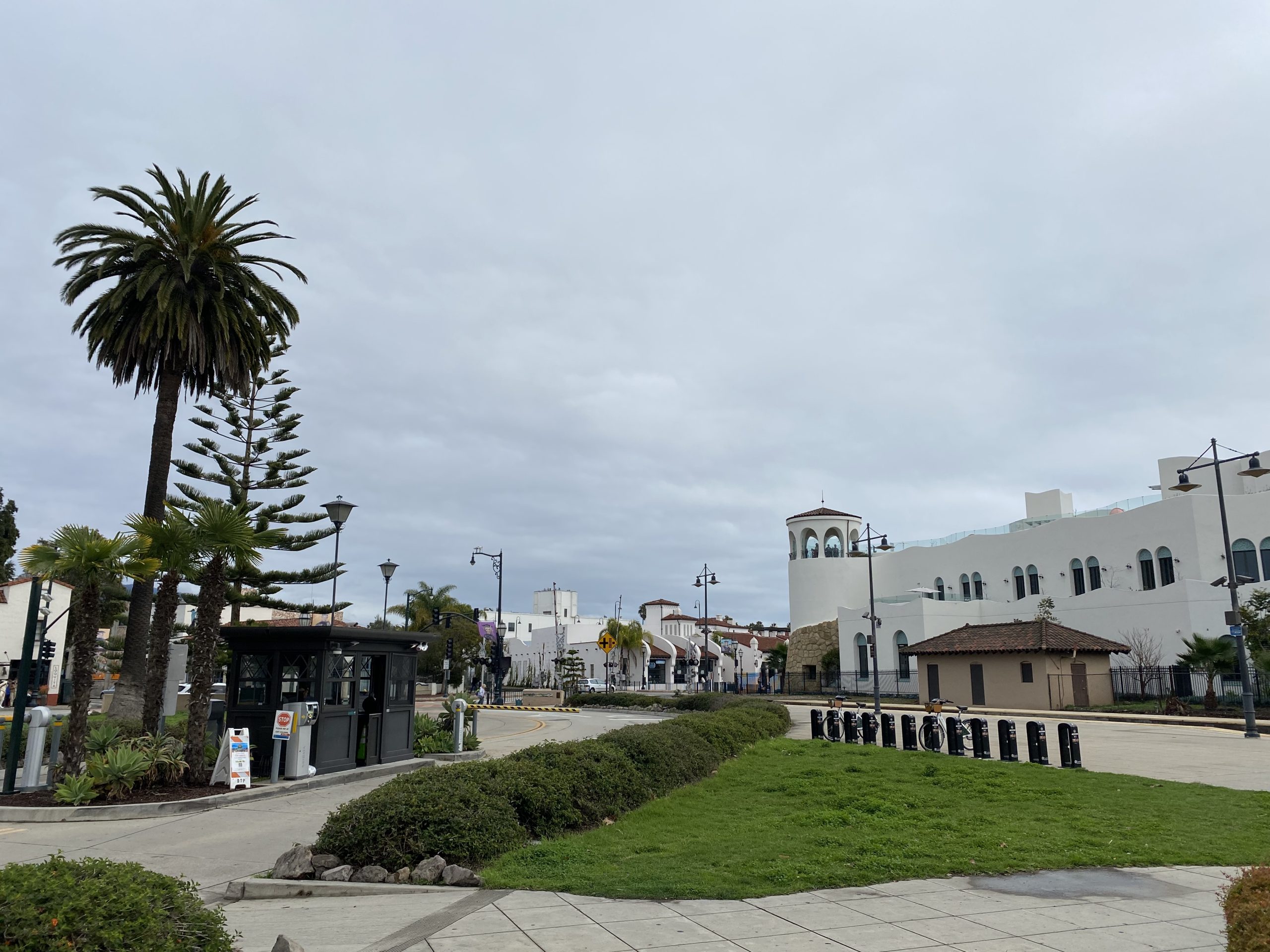 A scenic walkway at UCSB with a mix of palm trees and architecture.