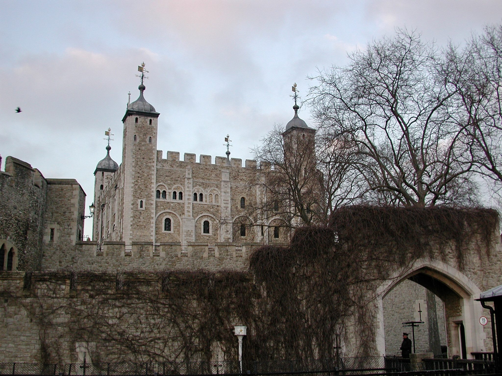 Ivy climbing the outer wall of the Tower of London beneath its turrets