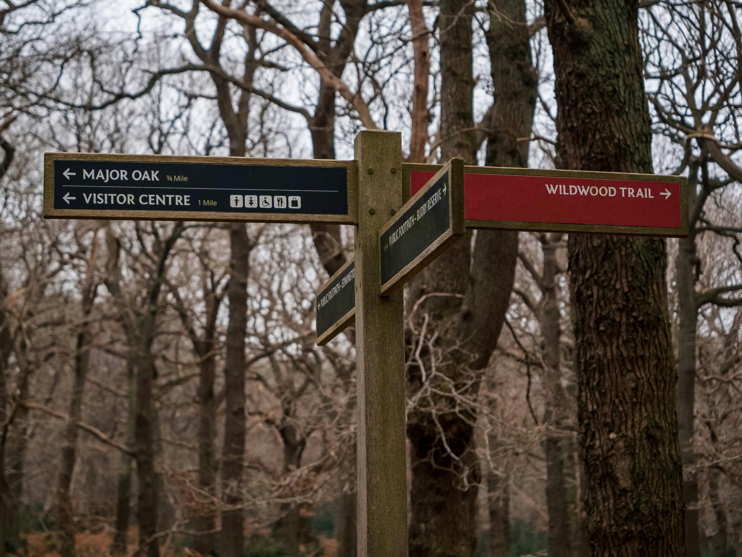 A wooden trail signpost in Sherwood Forest pointing to the Major Oak and the Wildwood Trail