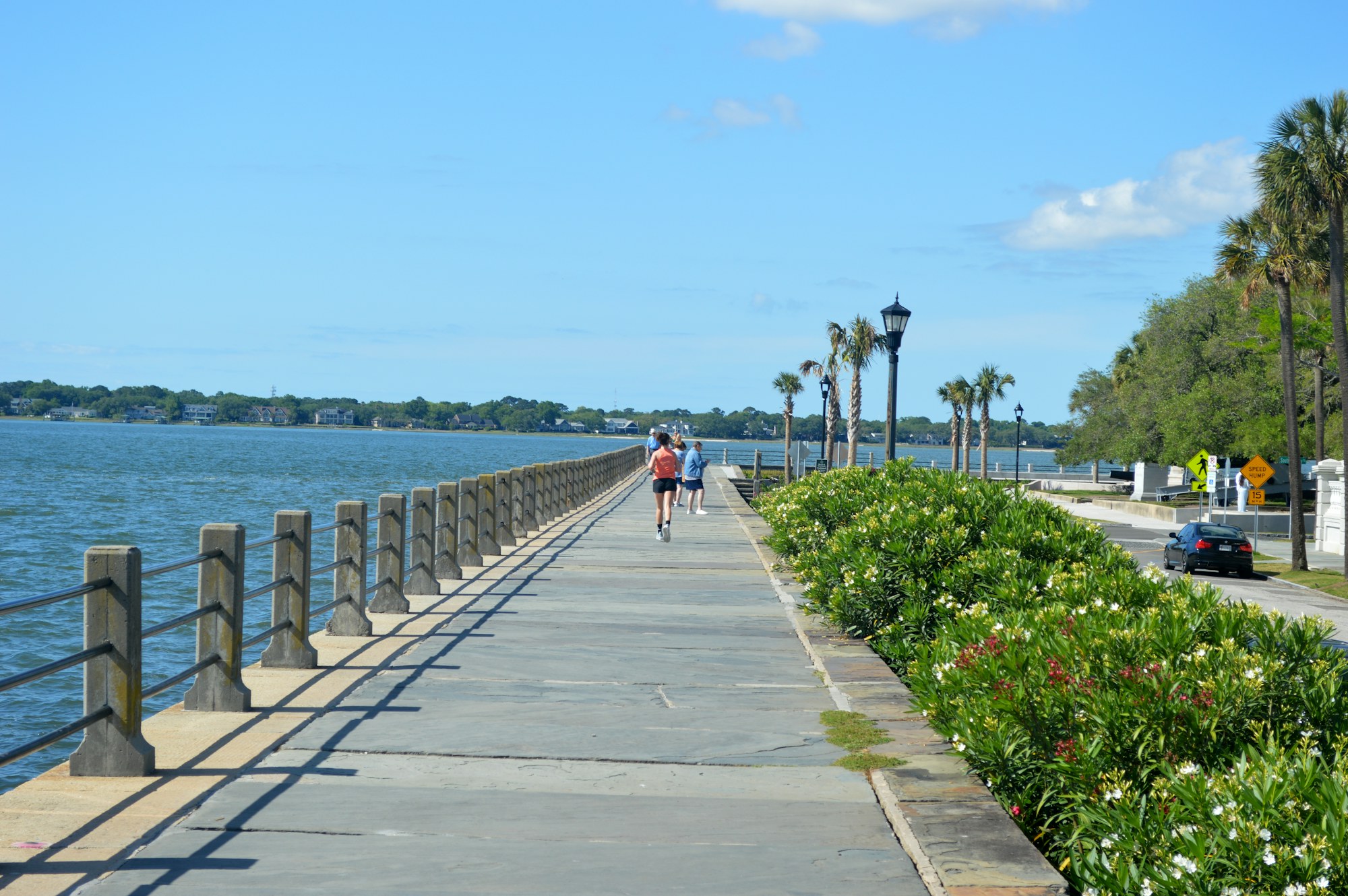 The waterfront promenade and pier at Charleston.