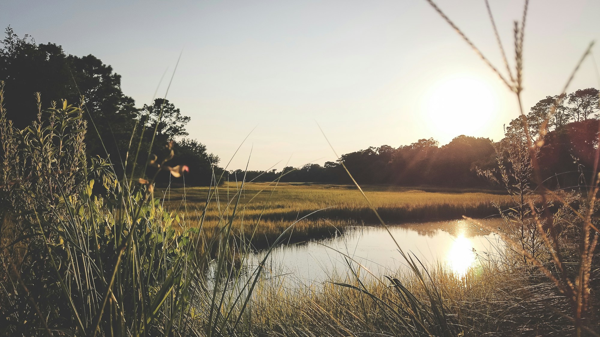 Sunrise across the salt marsh outside Charleston.