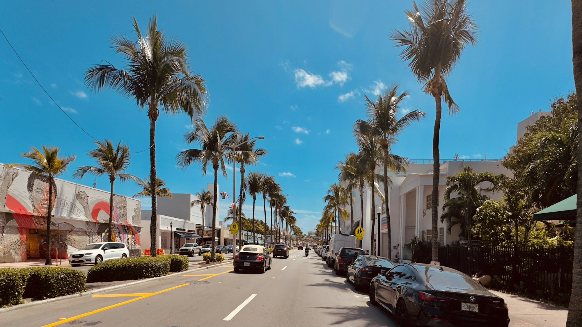 A palm-lined street of low storefronts in Key West, Florida.
