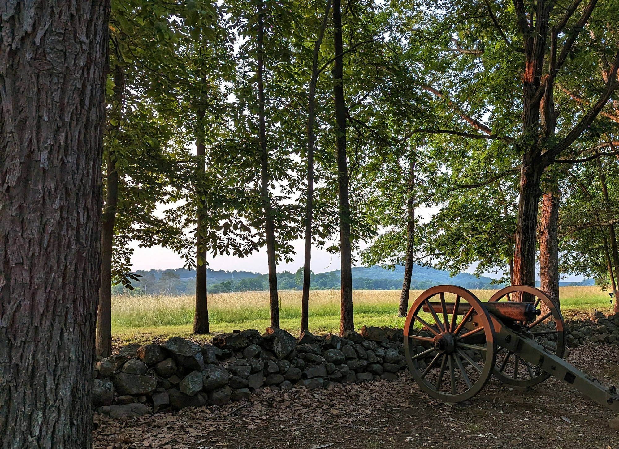 A field gun among the trees on the Confederate line at Gettysburg.
