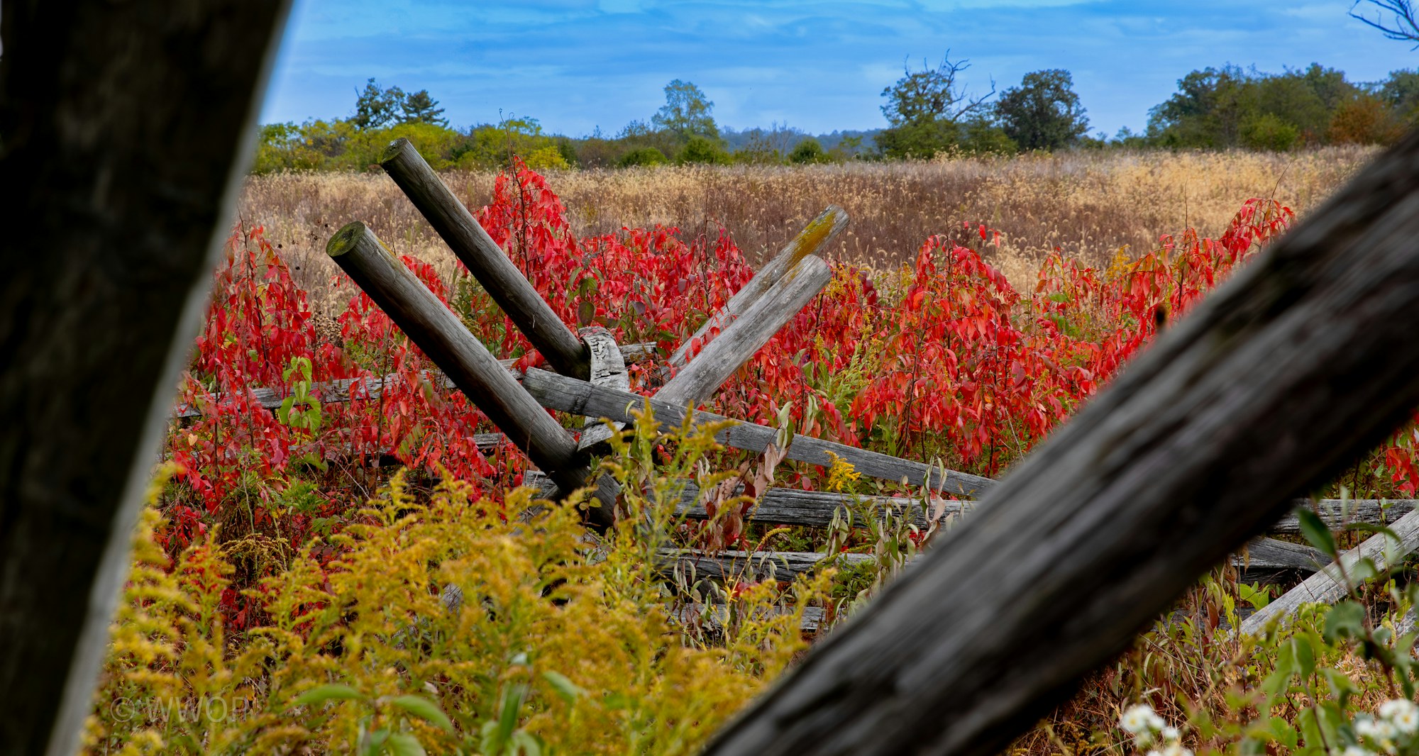 A split-rail fence and red autumn foliage on the Gettysburg battlefield.